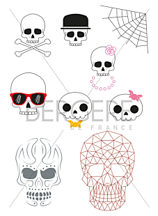 Planche pour customisation Crânes, 21 x 30 cm, Bergère de France