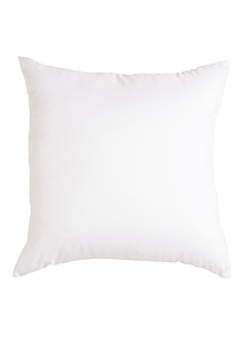 Intérieur de coussin aspect plumes, 40 x 40 cm