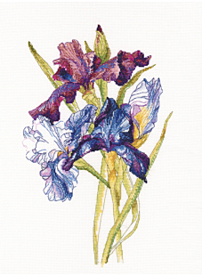 Kit point compté Iris violettes 37 x 36 cm