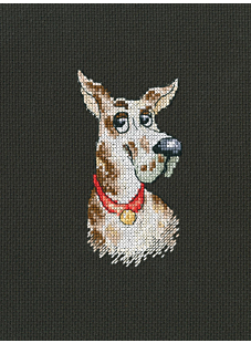 Kit point compté et sujet Champion 6,5 x 12 cm