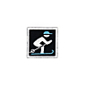 Ecusson skieur