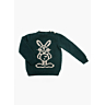 M1521 Pull motif lapin col rond en fiche pdf