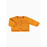 M2584 Cardigan raglan coton en fiche pdf